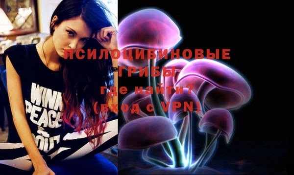 бошки Снежинск